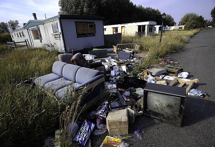 “Bloguanary Rhythms: Clarity Unveiled IN&nbsp;Clutter”